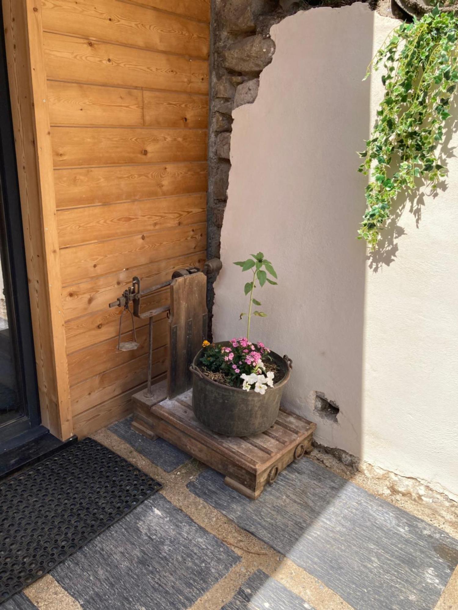 Studio Canellito Le Clos Des Ours Matemale Εξωτερικό φωτογραφία